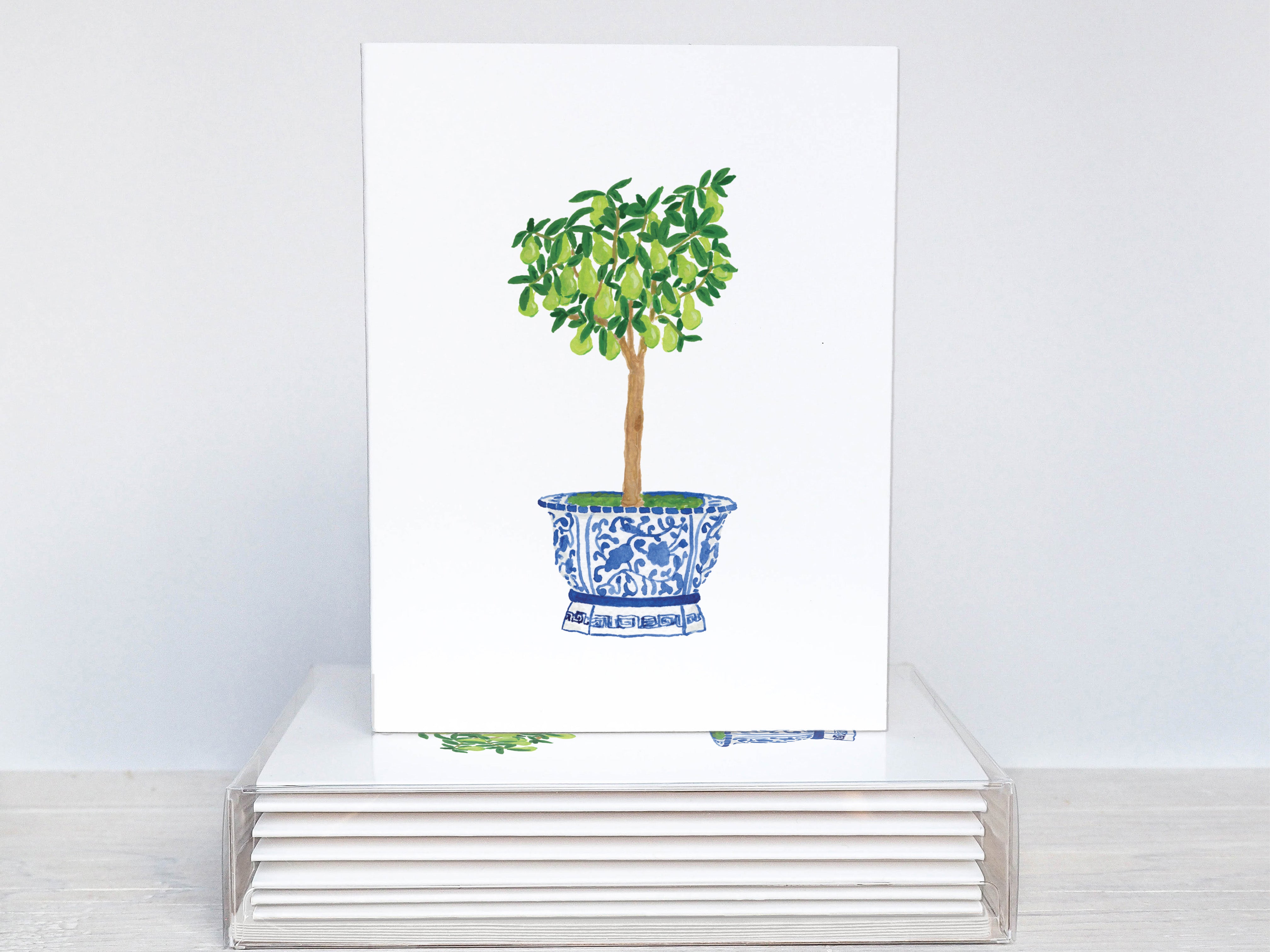 A white card with a blue and white patterned vase holding a small tree with green leaves.
