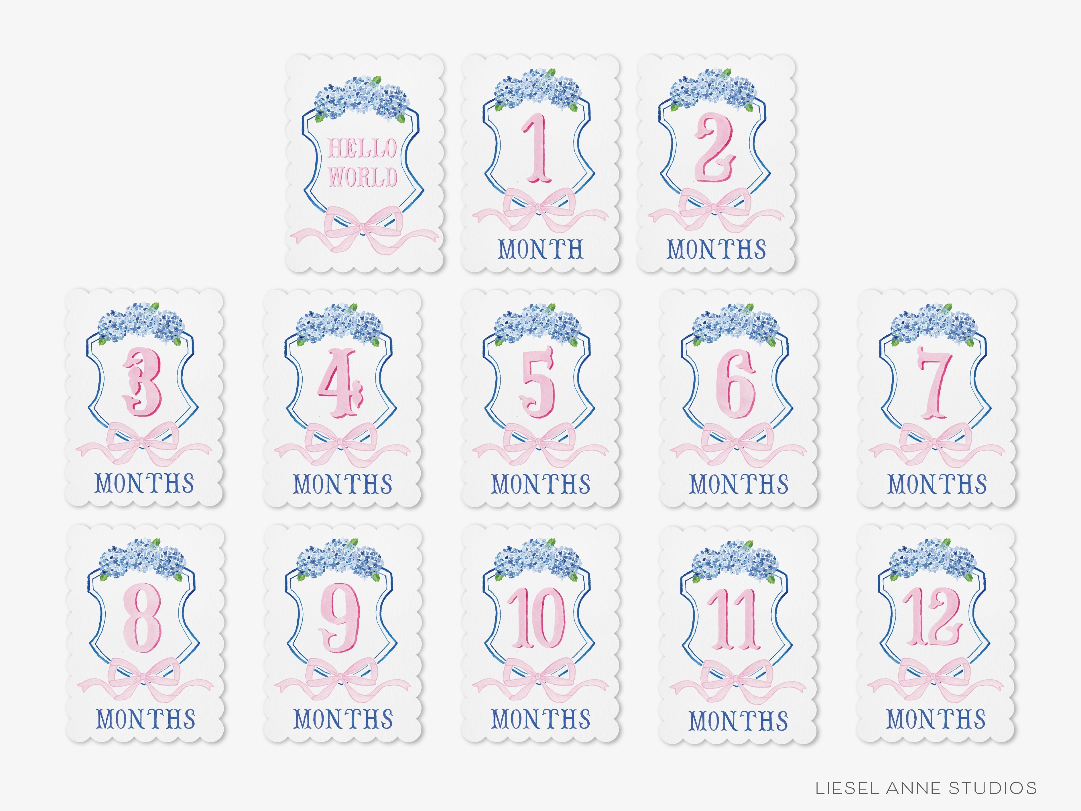 Blue and Pink Crest Scalloped Monthly Milestone Cards-These scalloped flat notecards are 5x7 and feature our hand-painted watercolor Hydrangea crest and pink bow and monthly milestone tracker, printed in the USA on 120lb textured stock. They make the perfect way to remember your baby's first year of milestones!-The Singing Little Bird