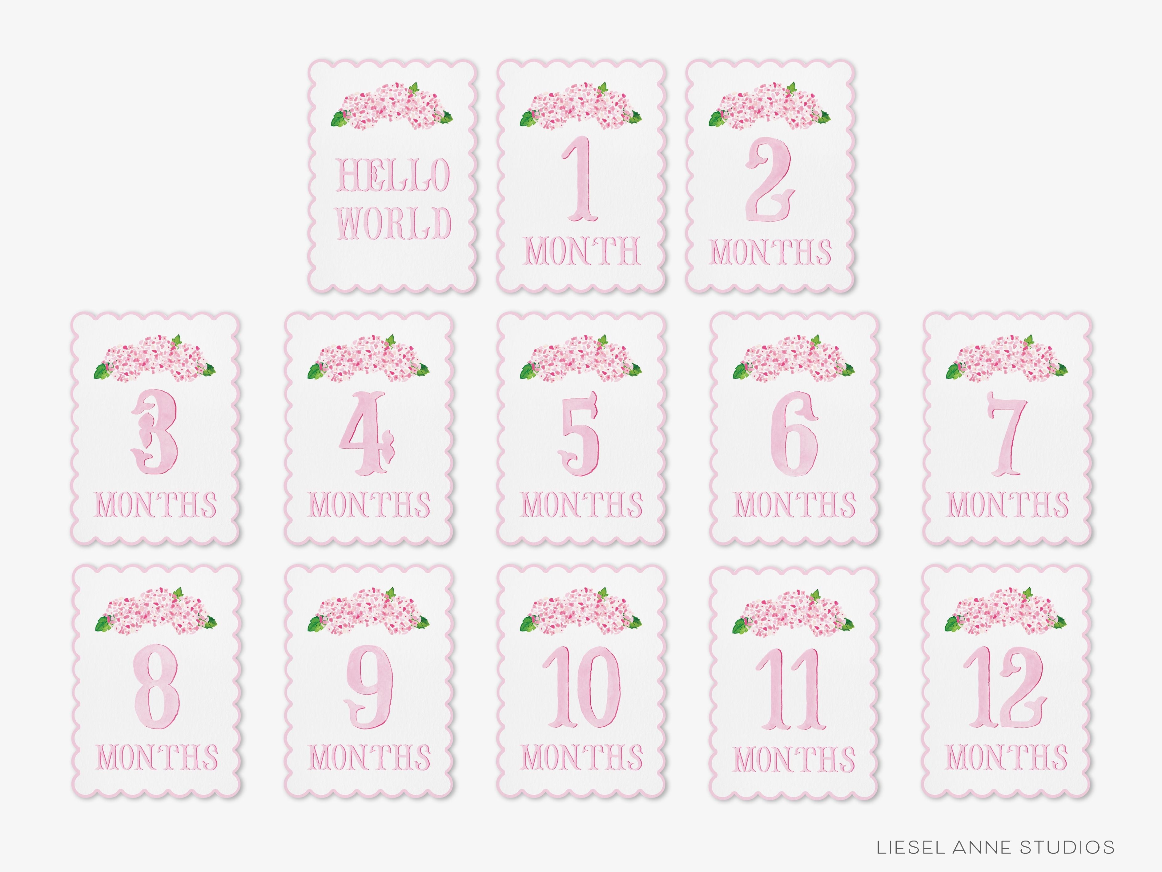 Pink Hydrangea Scalloped Monthly Milestone Cards-These scalloped flat notecards are 5x7 and feature our hand-painted watercolor Hydrangeas and monthly milestone tracker, printed in the USA on 120lb textured stock. They make the perfect way to remember your baby's first year of milestones!-The Singing Little Bird