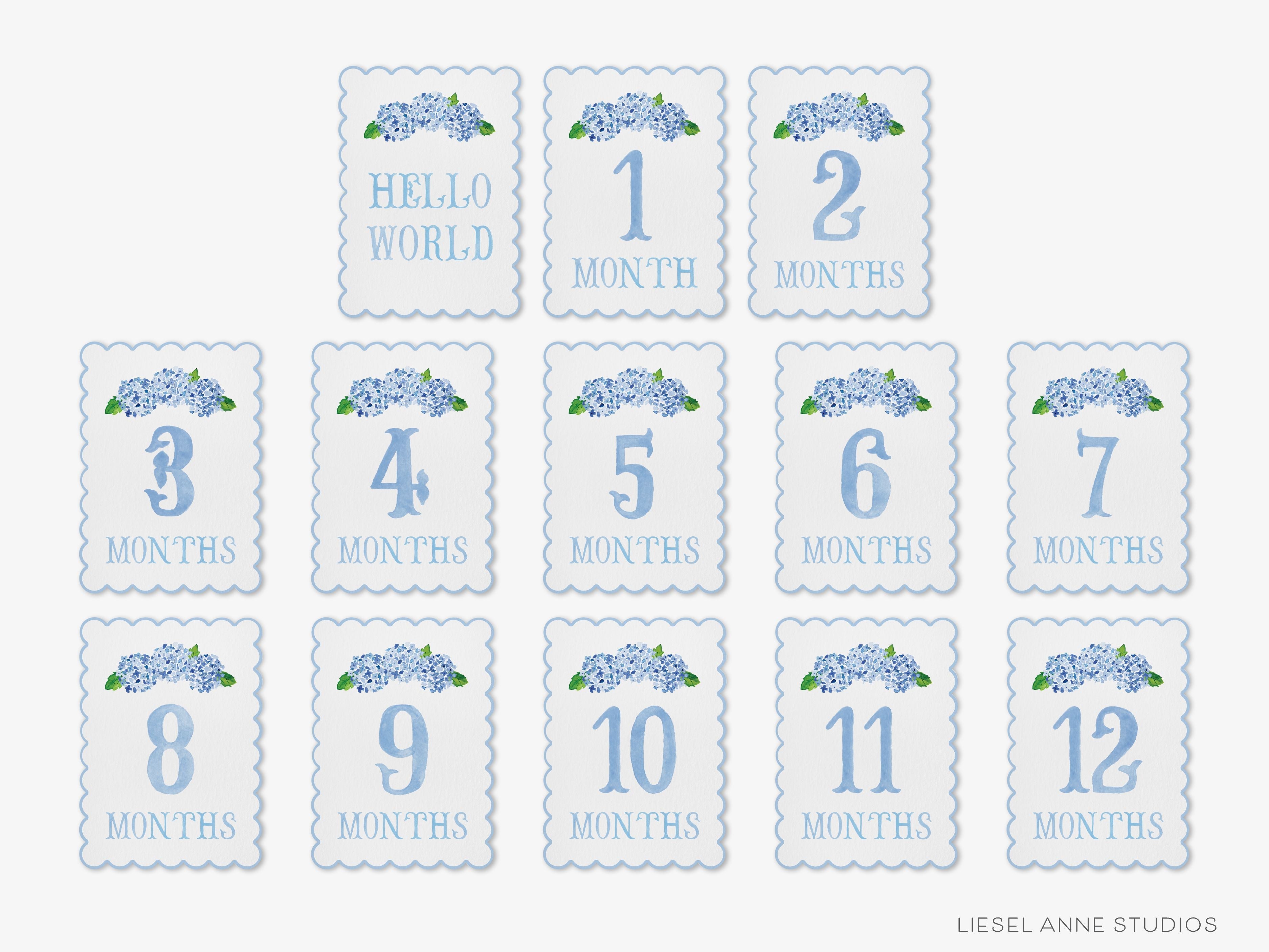 Blue Hydrangea Scalloped Monthly Milestone Cards-These scalloped flat notecards are 5x7 and feature our hand-painted watercolor Hydrangeas and monthly milestone tracker, printed in the USA on 120lb textured stock. They make the perfect way to remember your baby's first year of milestones!-The Singing Little Bird