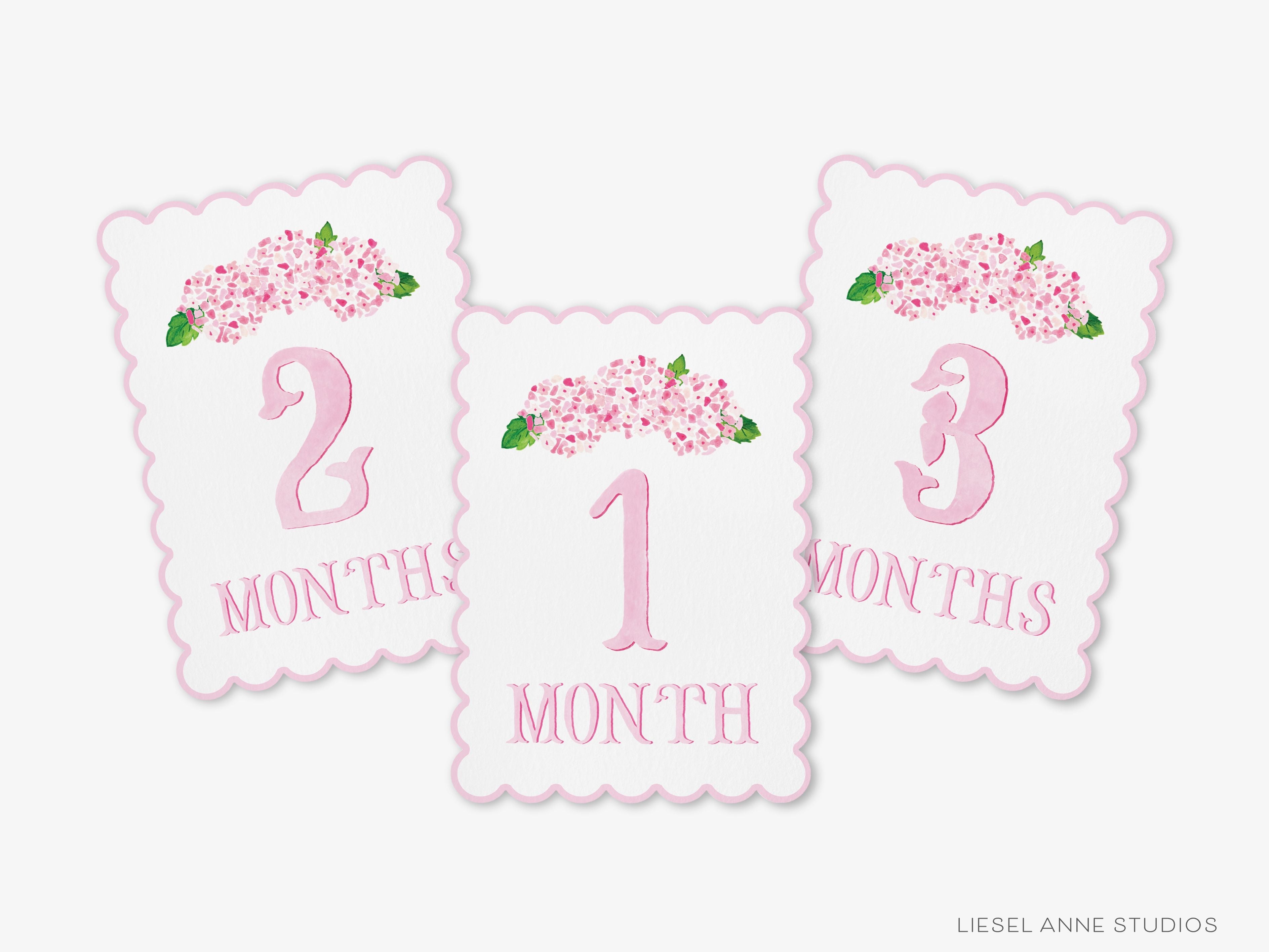 Pink Hydrangea Scalloped Monthly Milestone Cards-These scalloped flat notecards are 5x7 and feature our hand-painted watercolor Hydrangeas and monthly milestone tracker, printed in the USA on 120lb textured stock. They make the perfect way to remember your baby's first year of milestones!-The Singing Little Bird